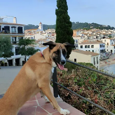 Mar&pol Jardin Privado Apartament Palafrugell